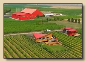 Alexandria Nicole Cellars' Destiny Ridge Vineyard and its winery in the Horse Heaven Hills appellation