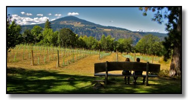 View from Cathedral Ridge vineyard in Columbia Gorge AVA
