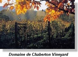 Fraser Valley B.C. vineyard - Domaine de Chaberton