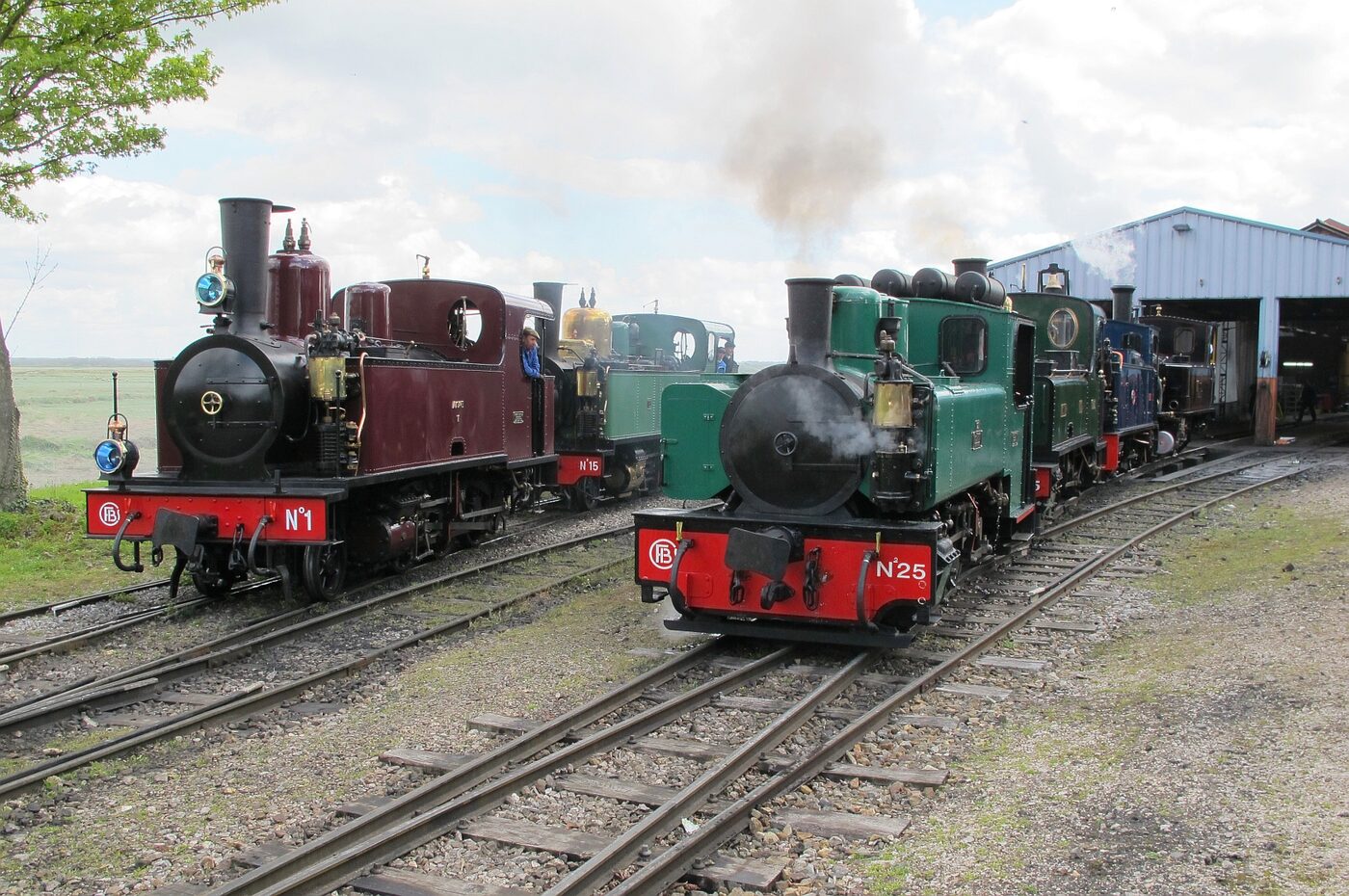 Locomotives à vapeur historiques du Chemin de fer de la Baie de Somme au dépôt de Saint-Valery-Canal