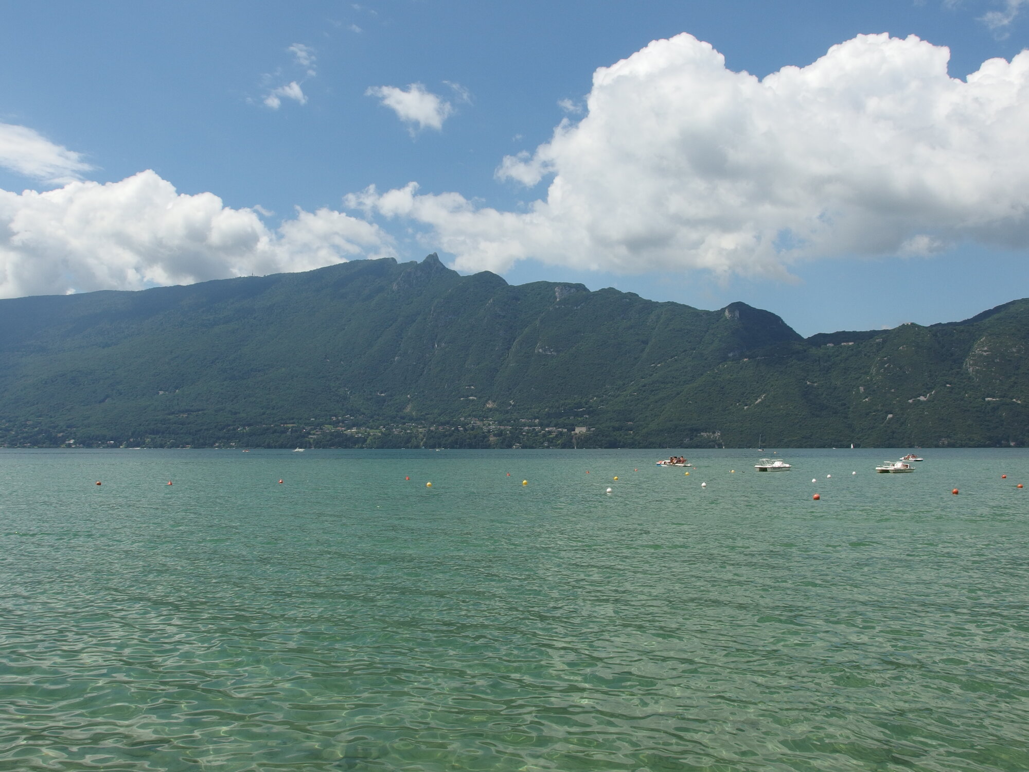 Le massif du Mont du Chat et la Dent du Chat vus du lac du Bourget