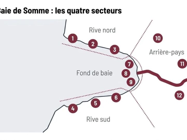 Carte de la baie de Somme : où aller rive par rive et à quelle marée