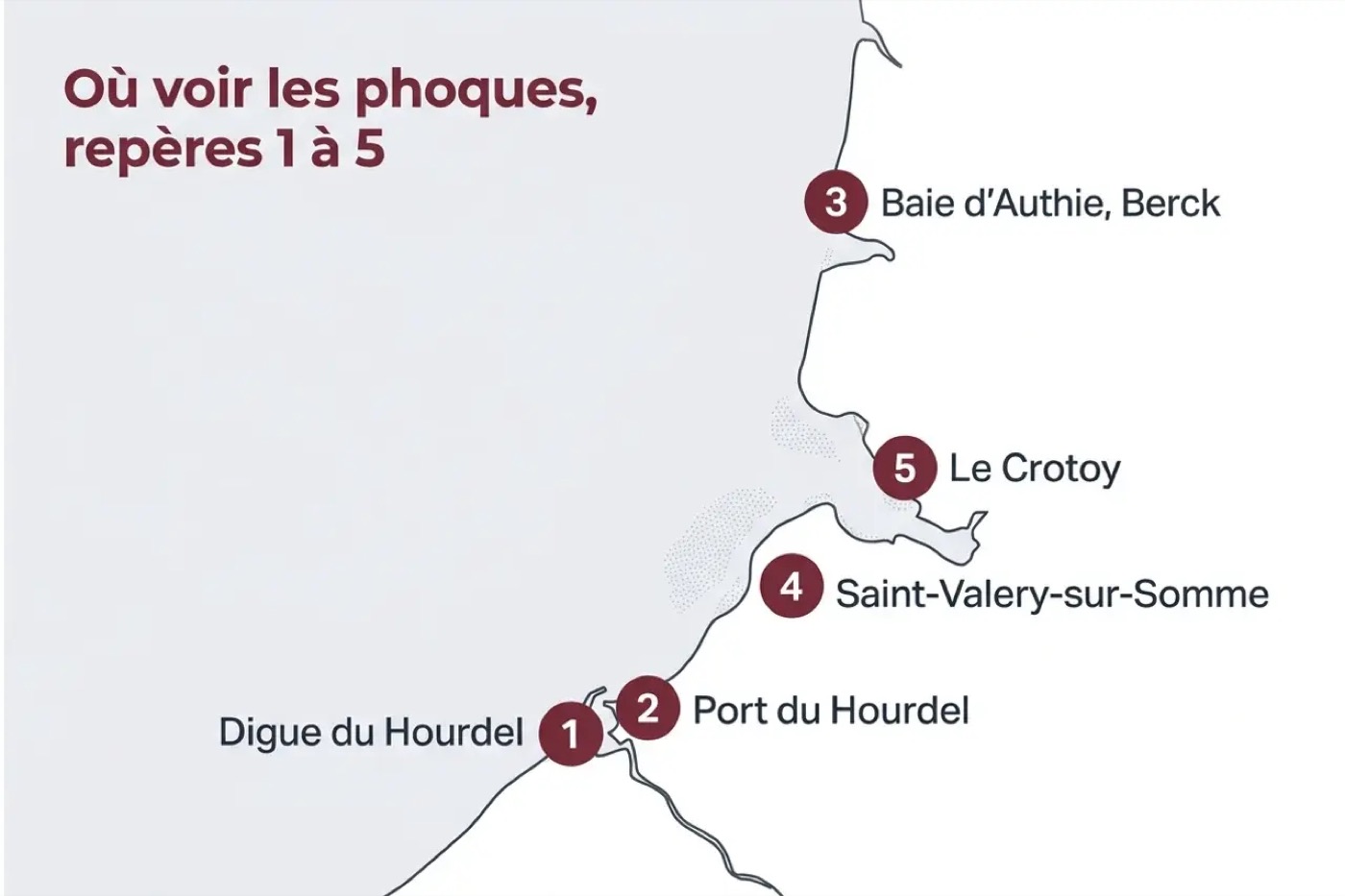 Carte stylisée de la baie de Somme et de la baie d'Authie avec cinq repères numérotés pour observer les phoques